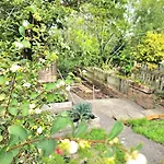 Appartement Treetops - Garden Flat With Woodland Access Bristol